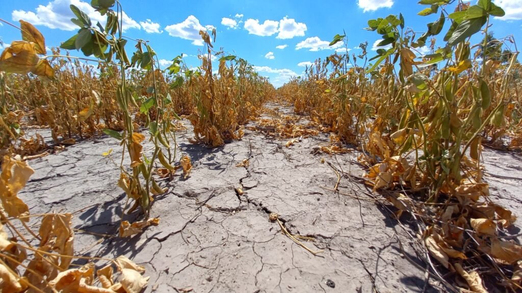 El cambio climático también enfría la economía