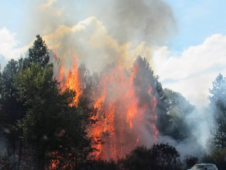 Récord de gases de efecto invernadero